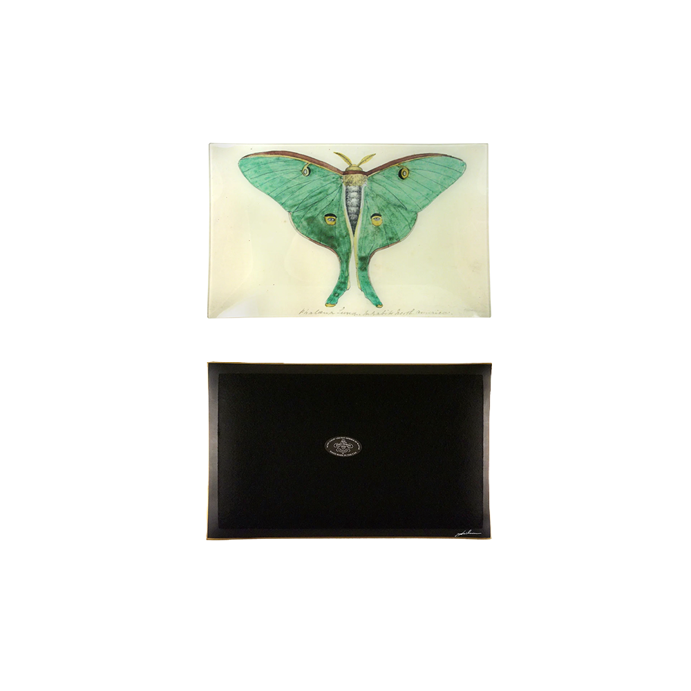 Eyed Green Butterfly Tray