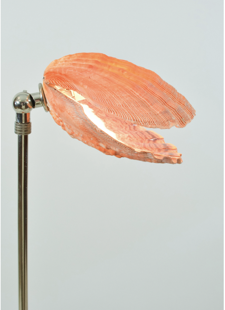 Screenshot 2026-01-14 at 11.54.10 AM.png