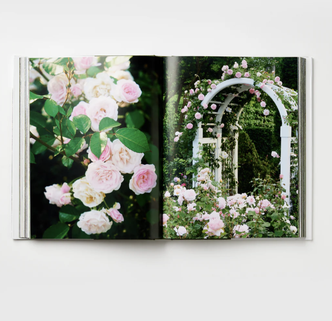 Screenshot 2026-04-06 at 3.53.43 PM.png