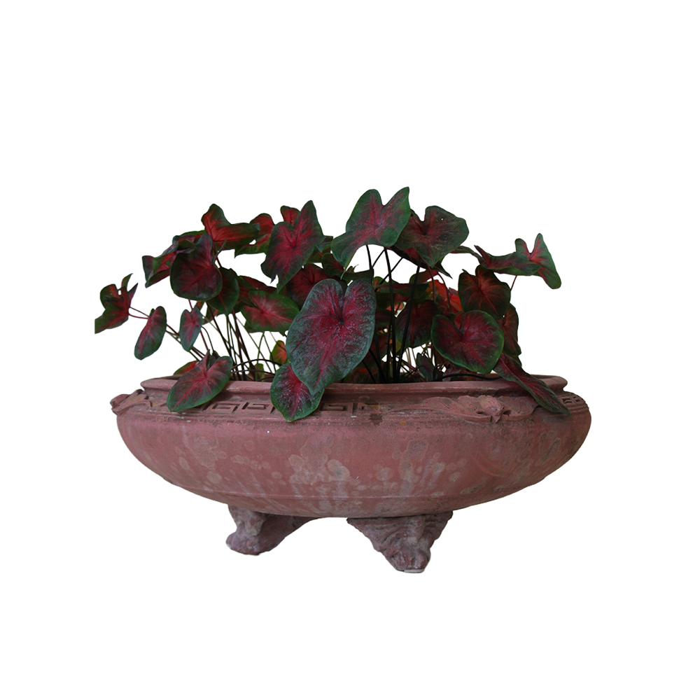 Chinese Terracotta Bowl