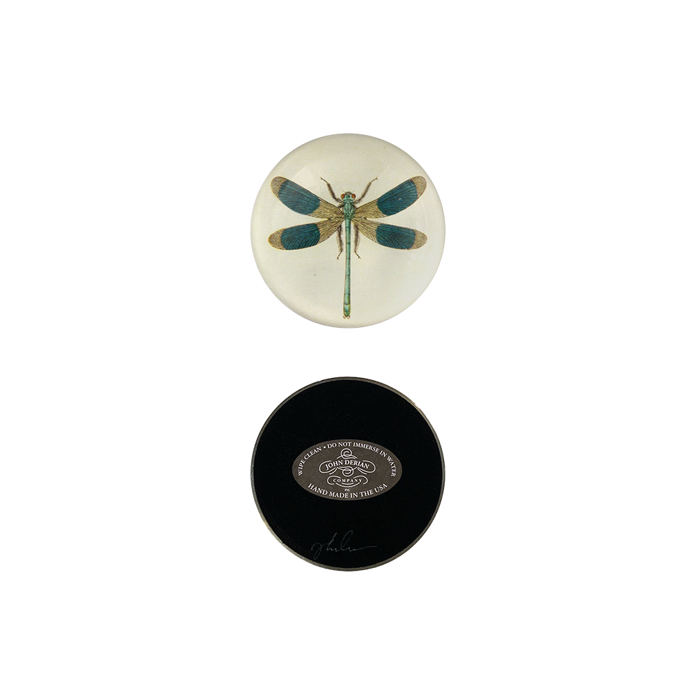 DragonflyPaperweight_Bottom.png