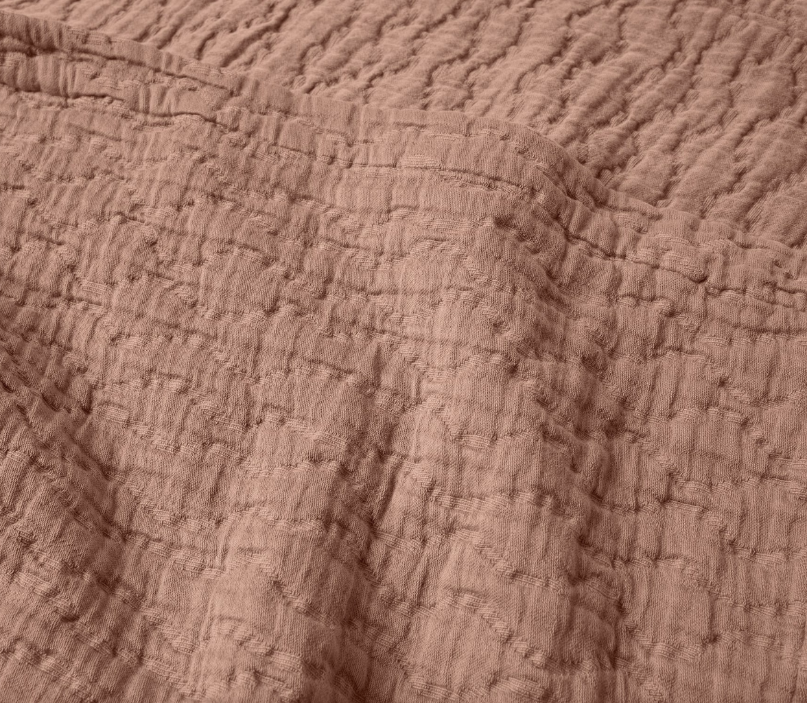 Screenshot 2026-02-19 at 12.55.24 PM.png