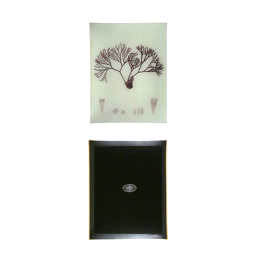 #39SeaweedTray_Bottom.png