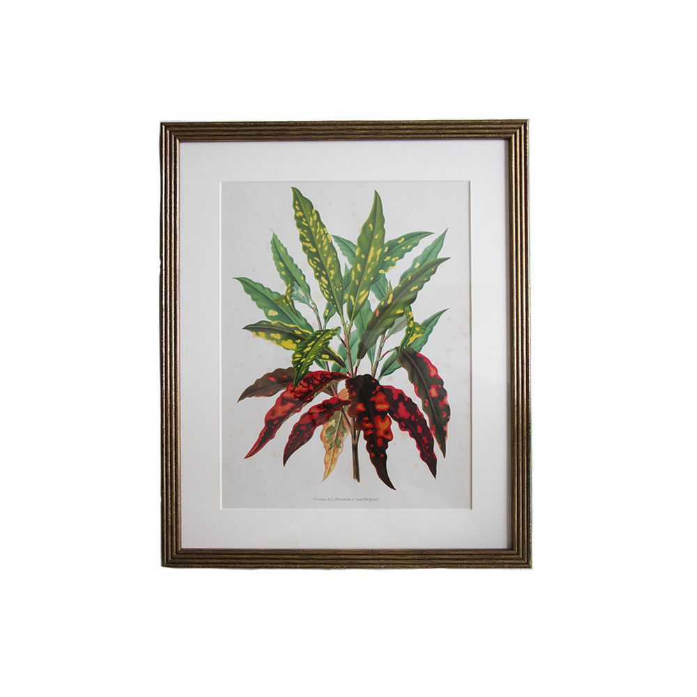 VerticalBotanical3.png