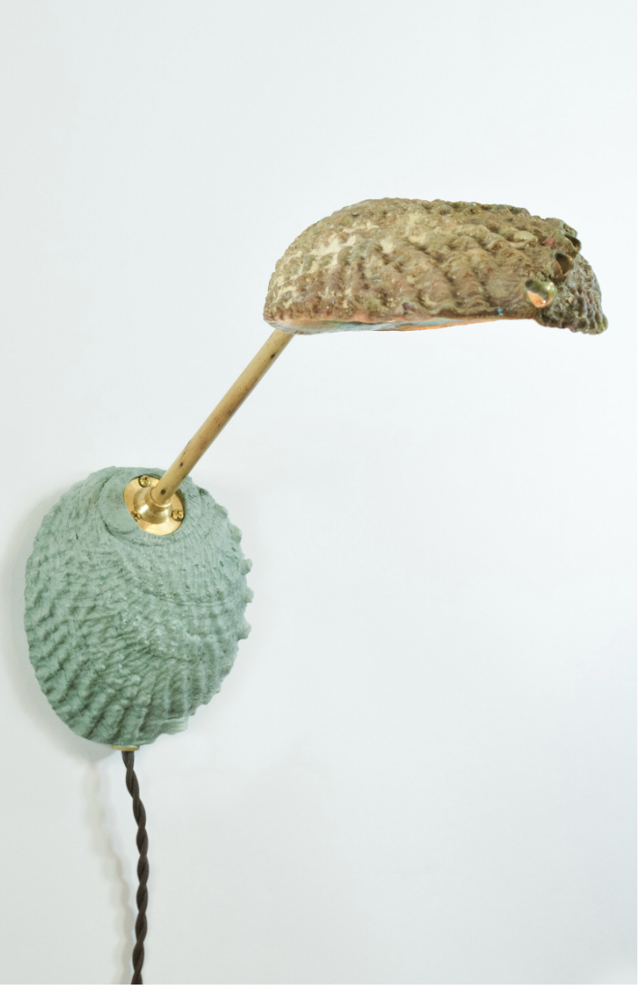 Screenshot 2026-01-14 at 12.10.40 PM.png