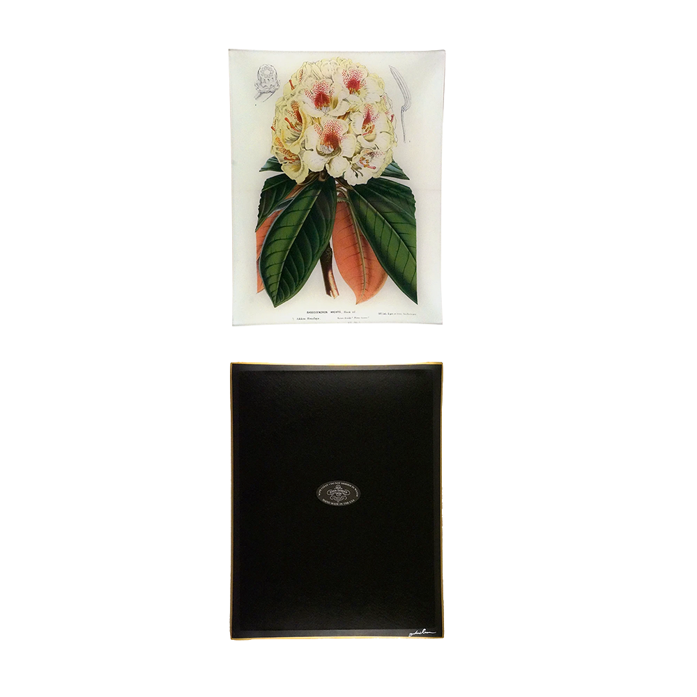 Rhododendron Wight Tray