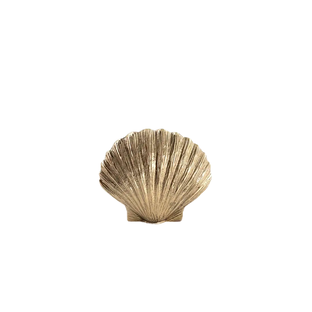 ScarlettShellCandleHolder_Small1.png