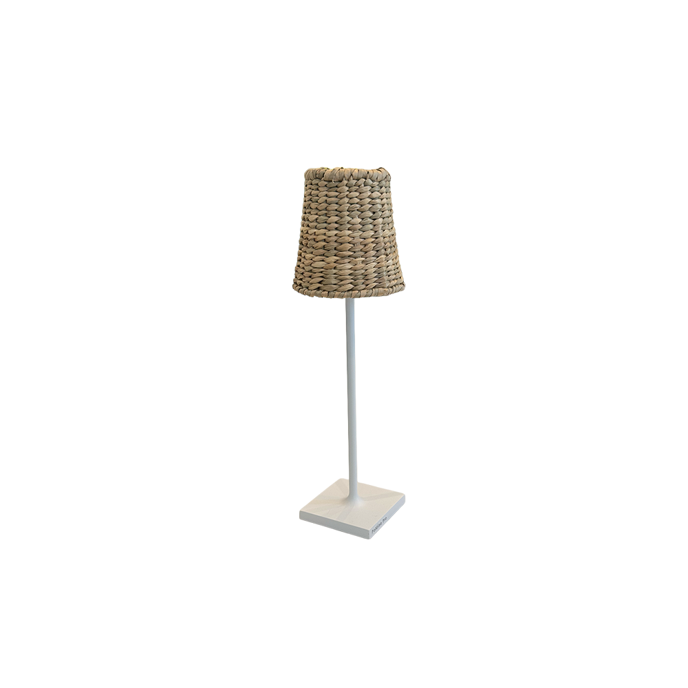 MicroLamp_SeagrassShade.png