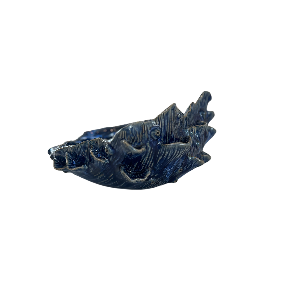 BlueClamShell1.png