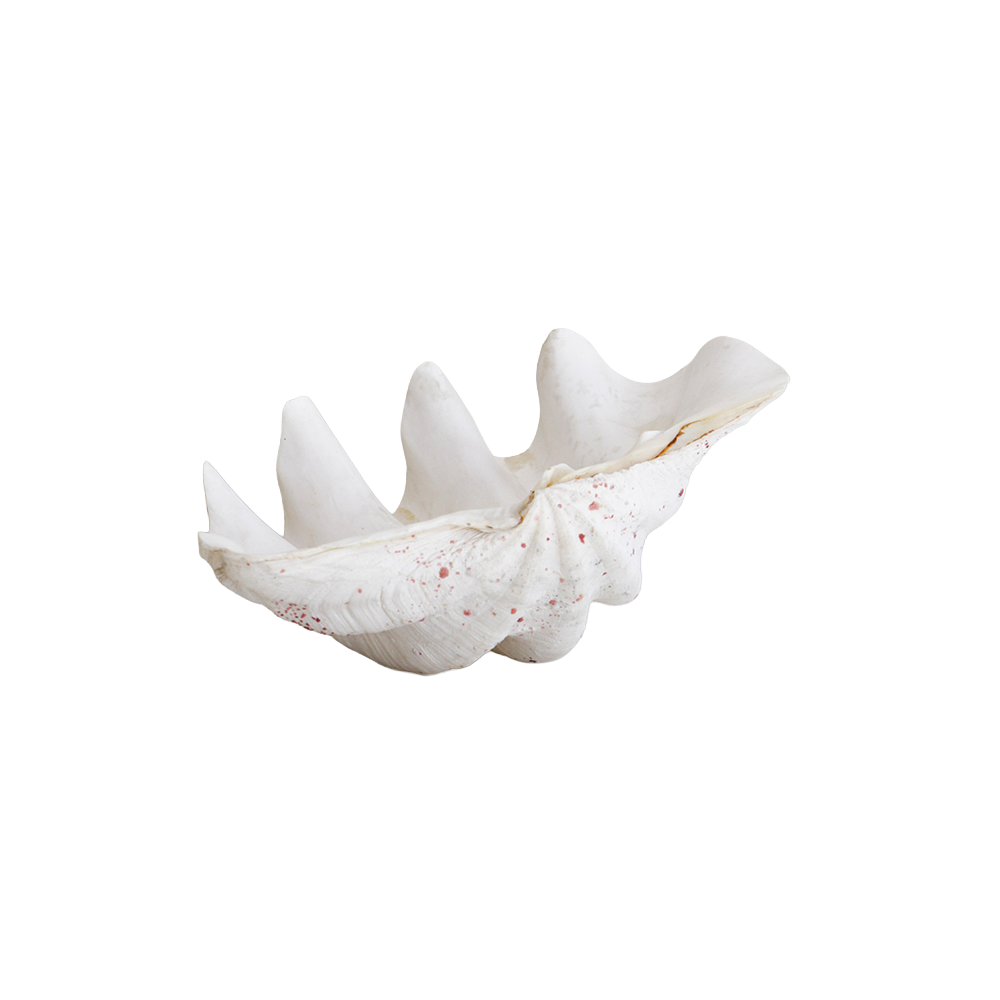 GigasClam2Back.png