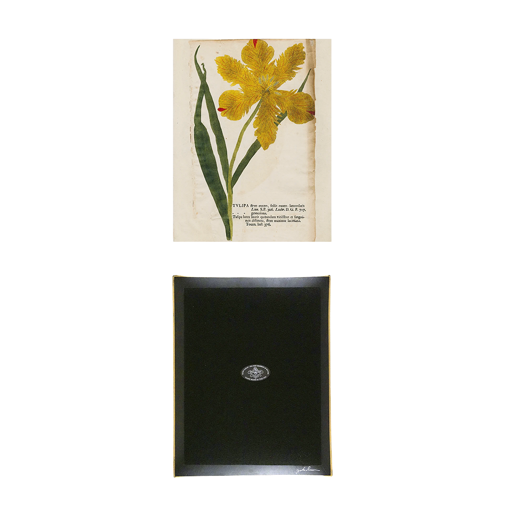 Yellow Tulip (p. 122) Tray