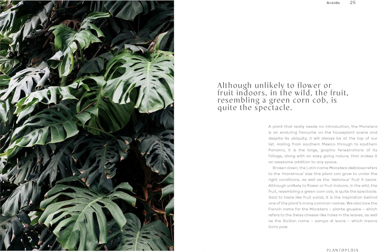 Screenshot 2026-02-11 at 1.33.46 PM.png