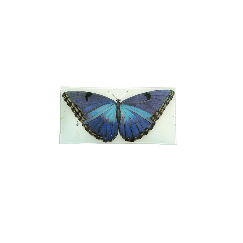 BlueButterflyTray.png