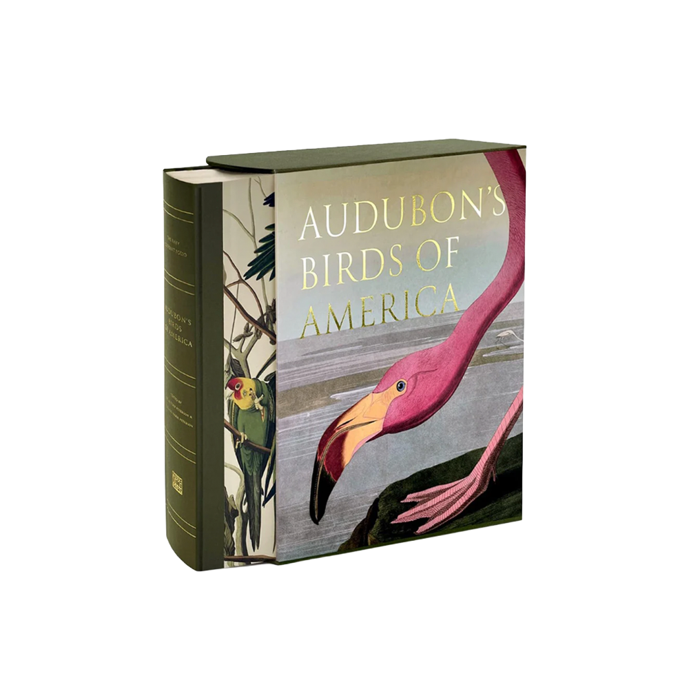 Audubon's Birds Book.png