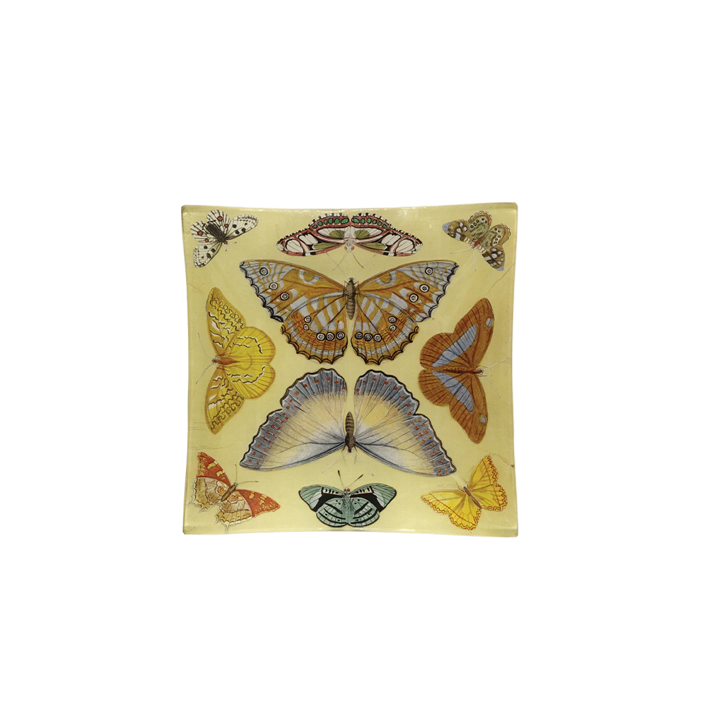 ButterflyCollectionTray.png