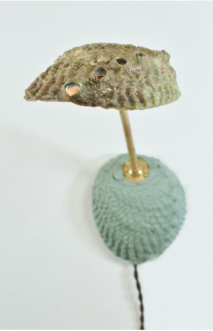 Screenshot 2026-01-14 at 12.10.45 PM.png