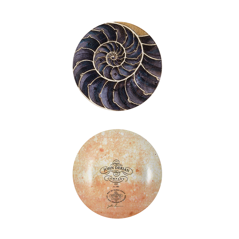 Blue Nautilus Plate