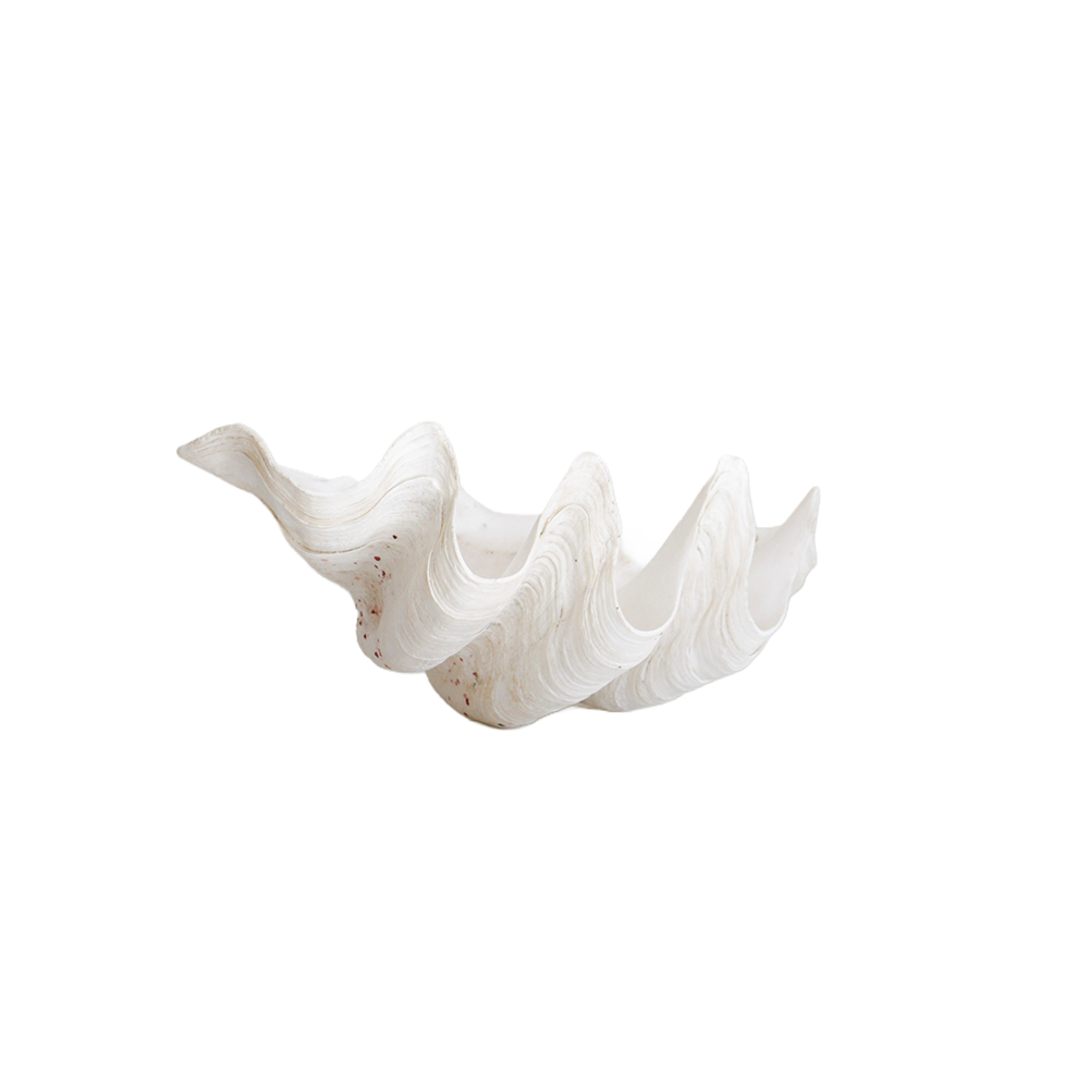 GigasClam2Front.png