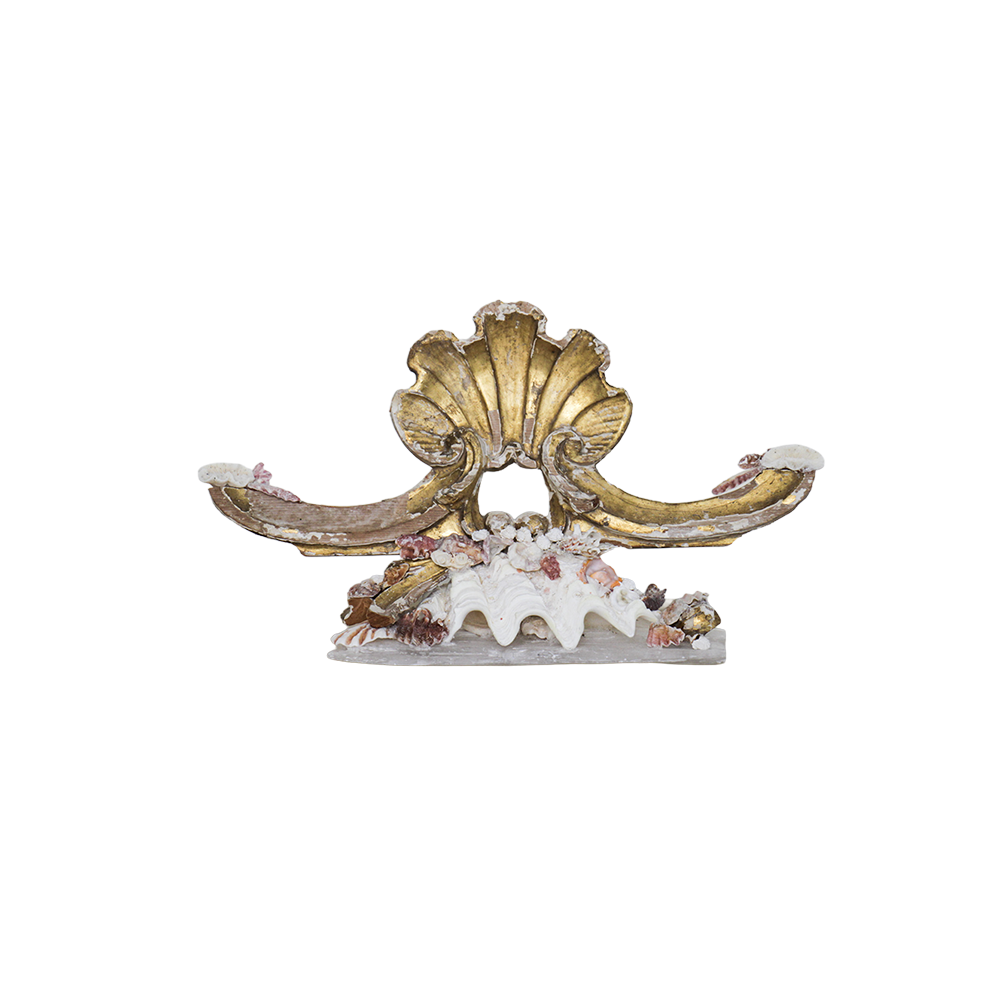 Antique Scalloped Fragment and Shell Sculpture