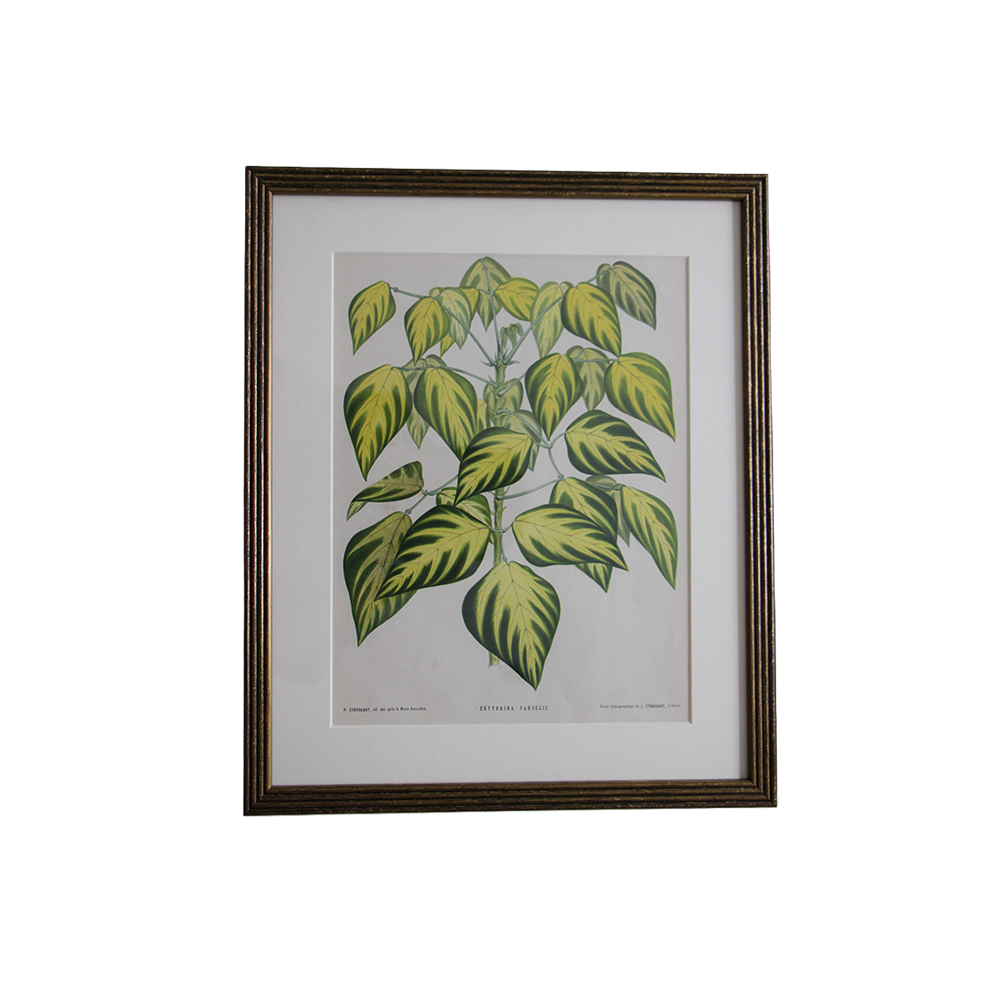 VerticalBotanical8.png