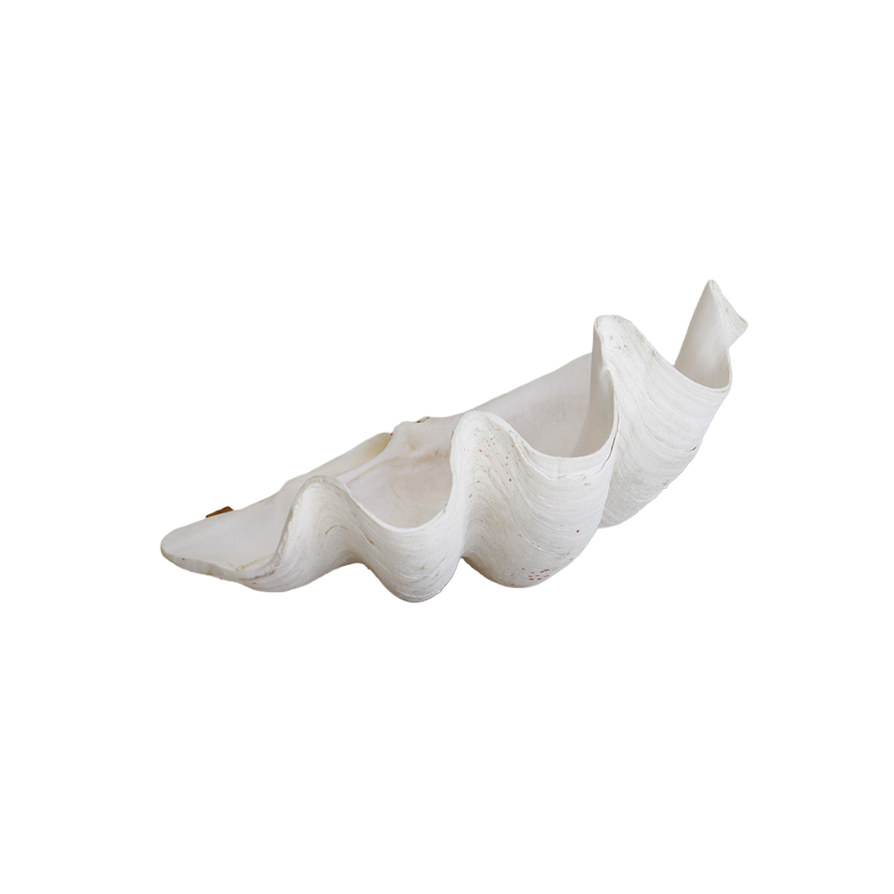 GigaClam1Front.png
