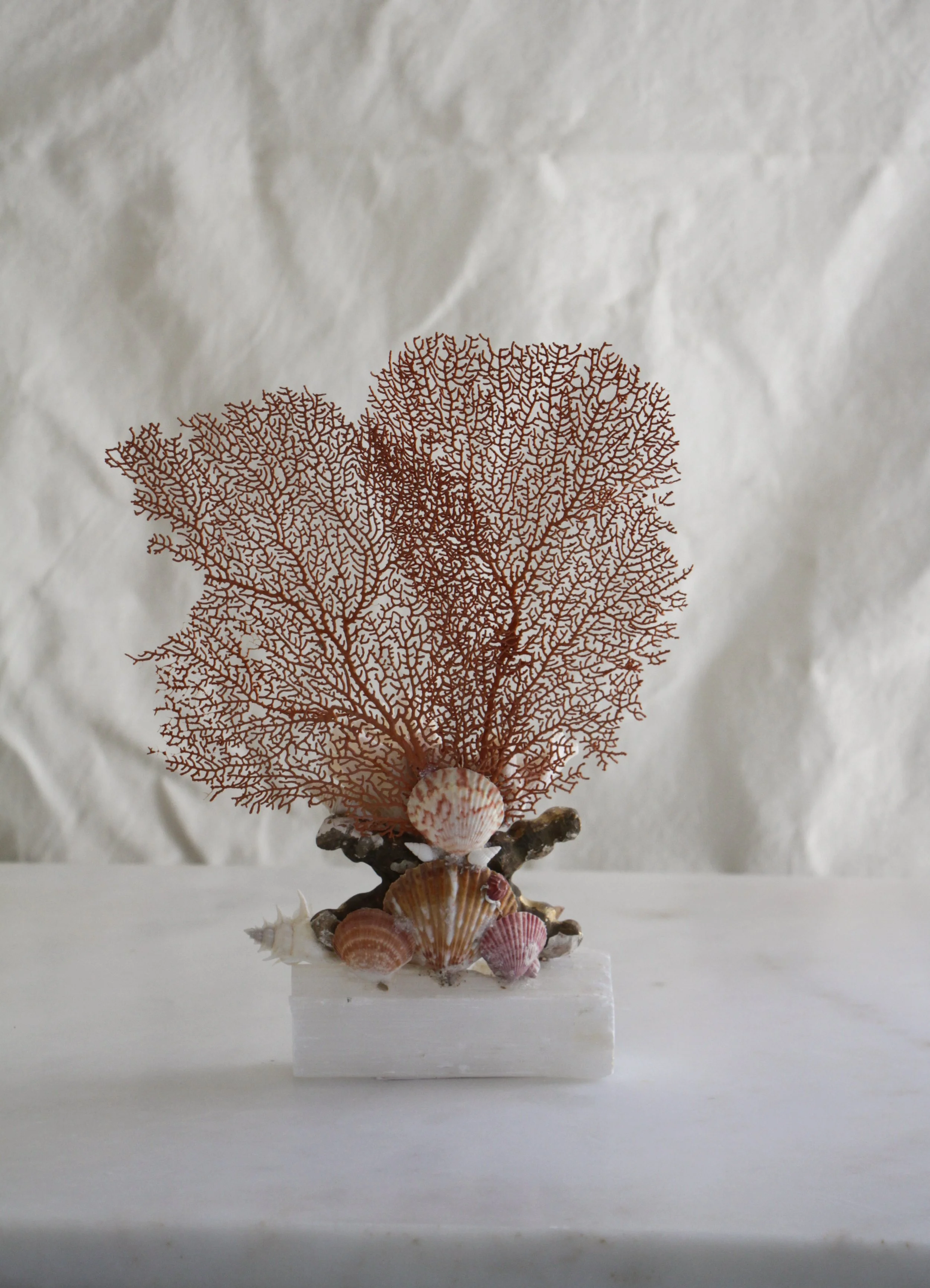 BOHLERTMASSEY_SHELLSCULPTURES-05.jpg