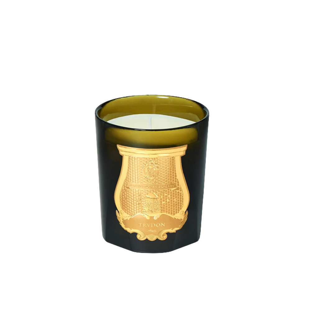 Trudon Classic Candle 9.5oz