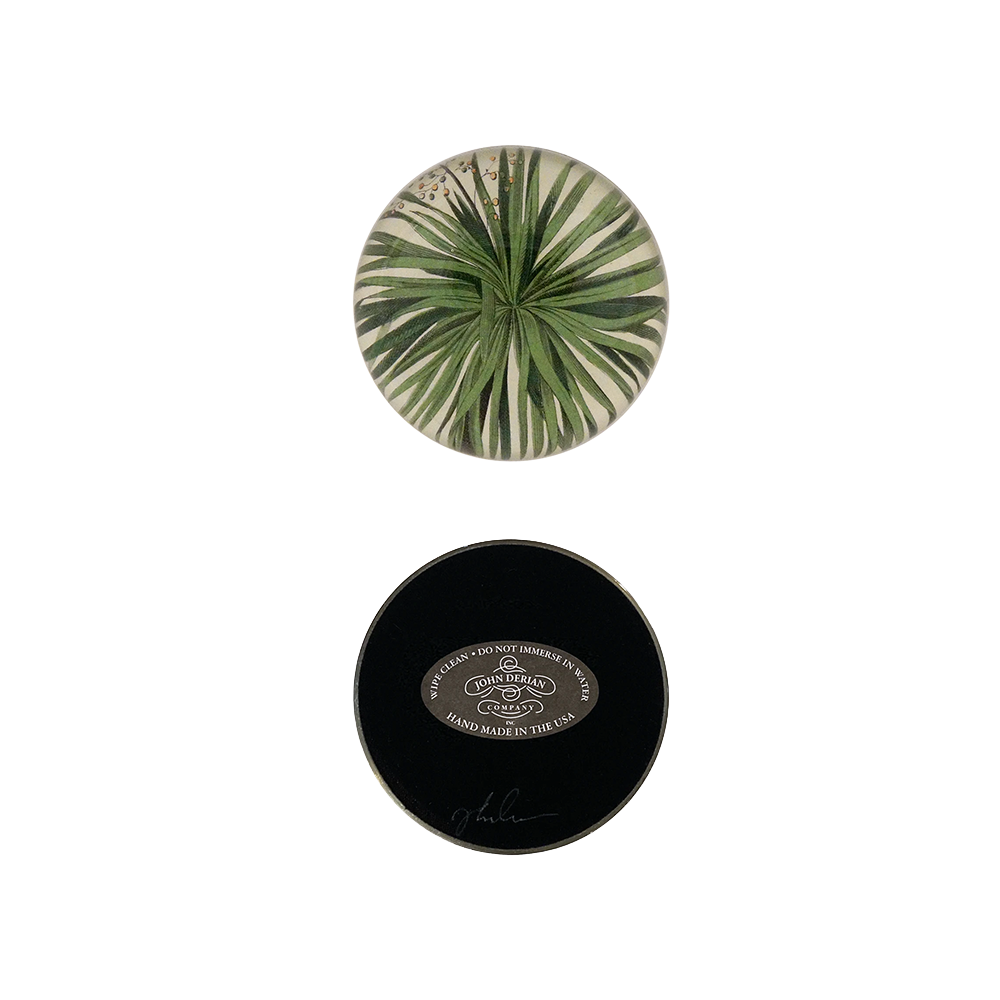 PalmDetailPaperweight_Bottom.png