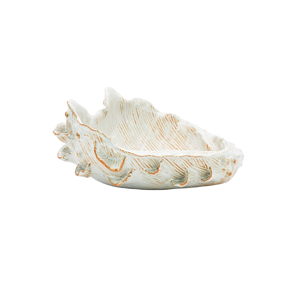ClamShellBowlWhite1.png
