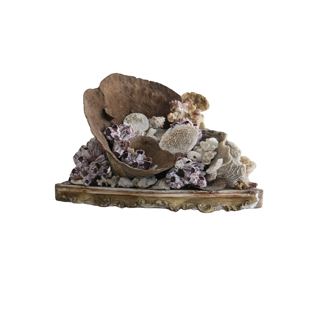 Natural Coral Cup on Antique Plateau Sculpture