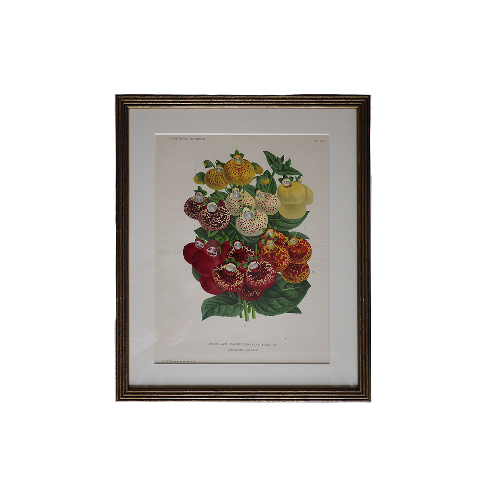 VintageBotanical3.png