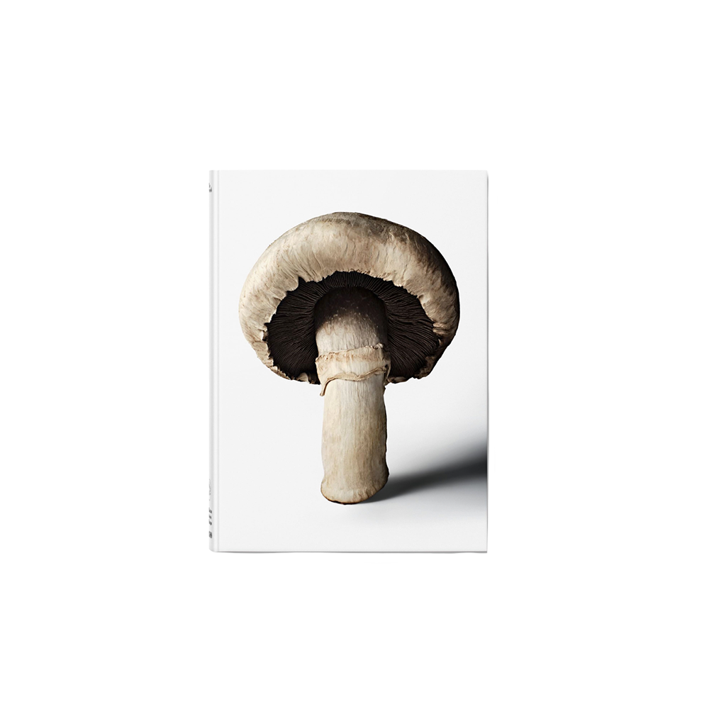 MushroomBook.png