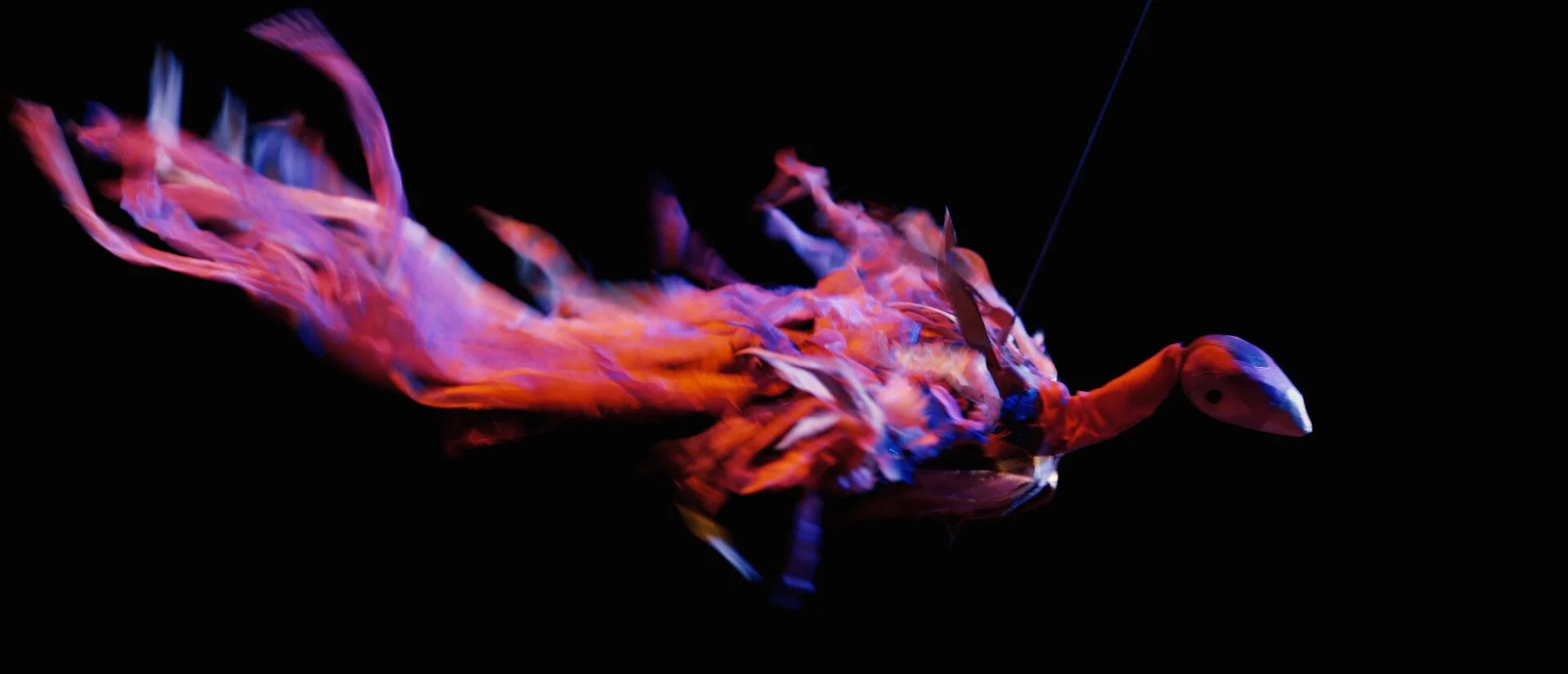 Theatre review: The Firebird