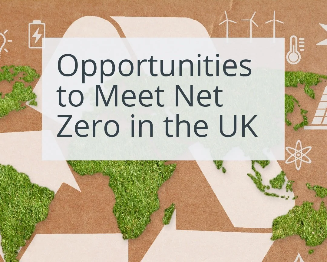 Opportunities+to+meet+net+zero+in+the+uk.jpg