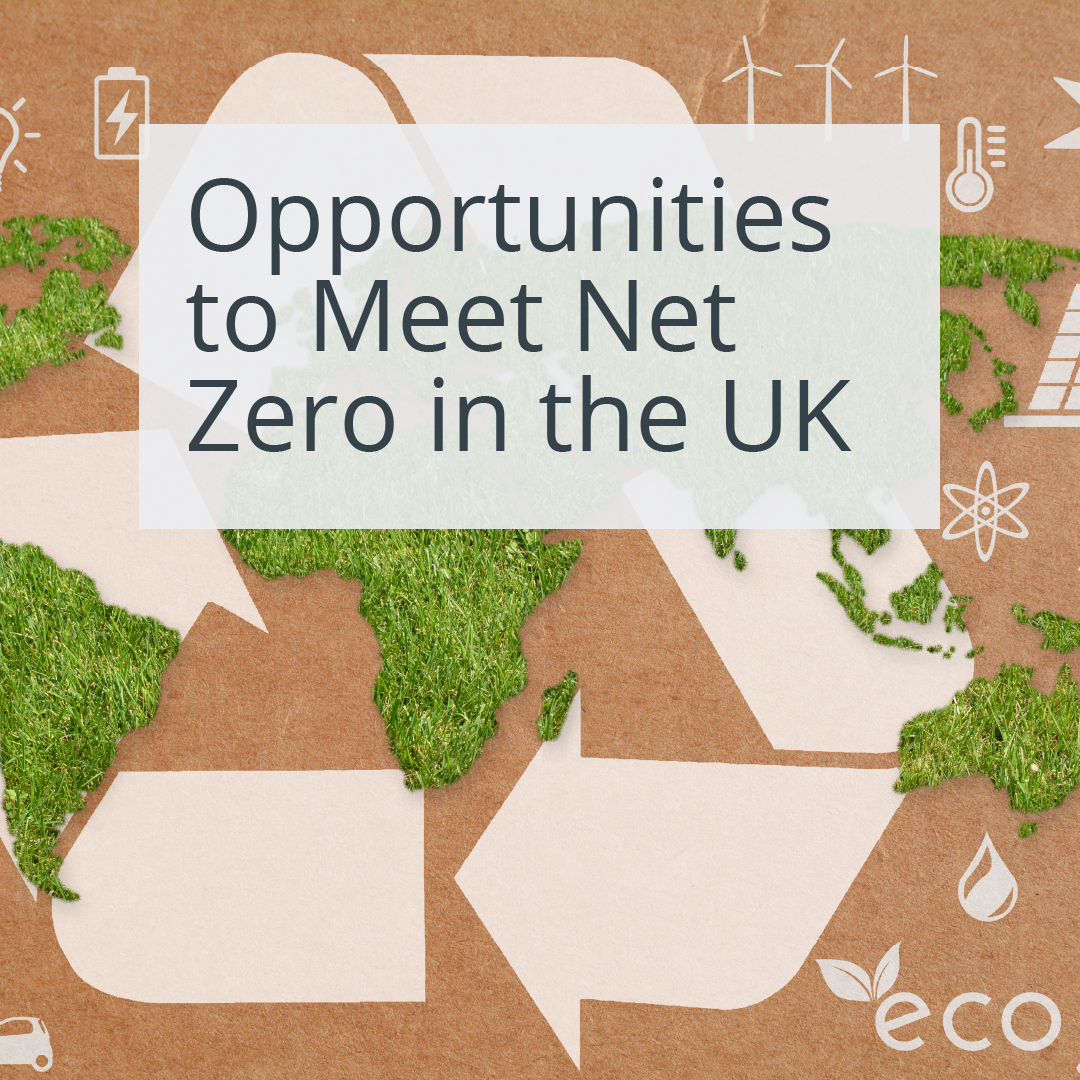 Article: Opportunities to meet net zero in the UK