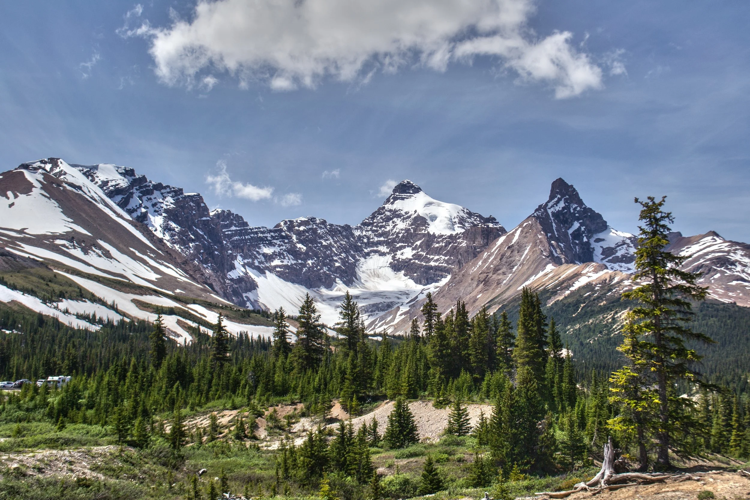 Concert Review: Alpine Symphony