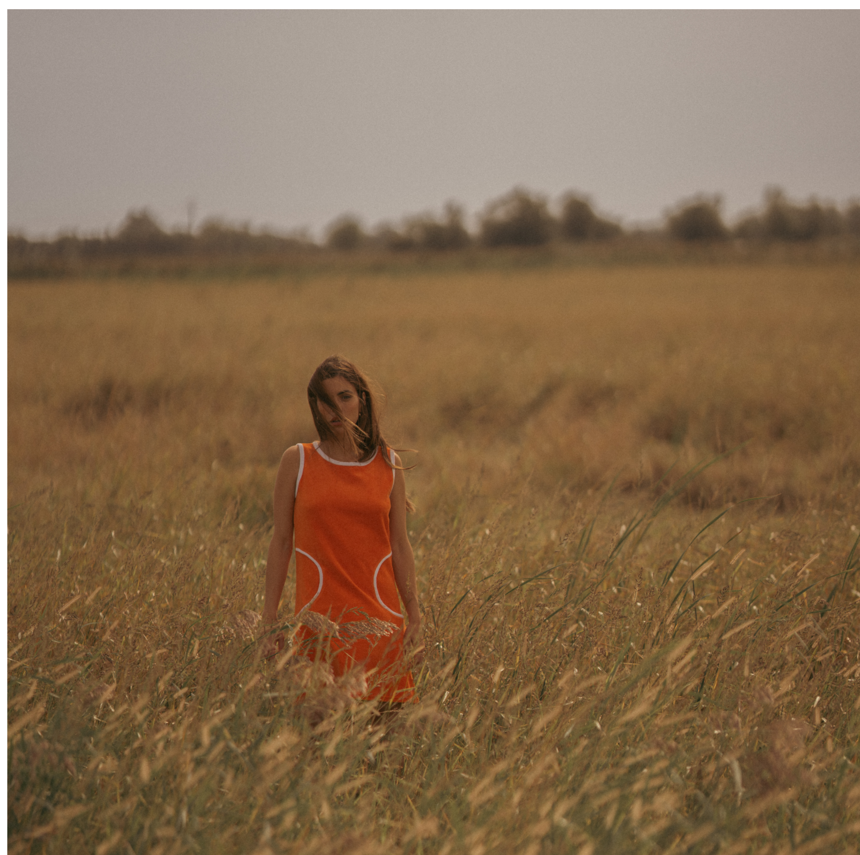 DSC03476DSC03476 41.png