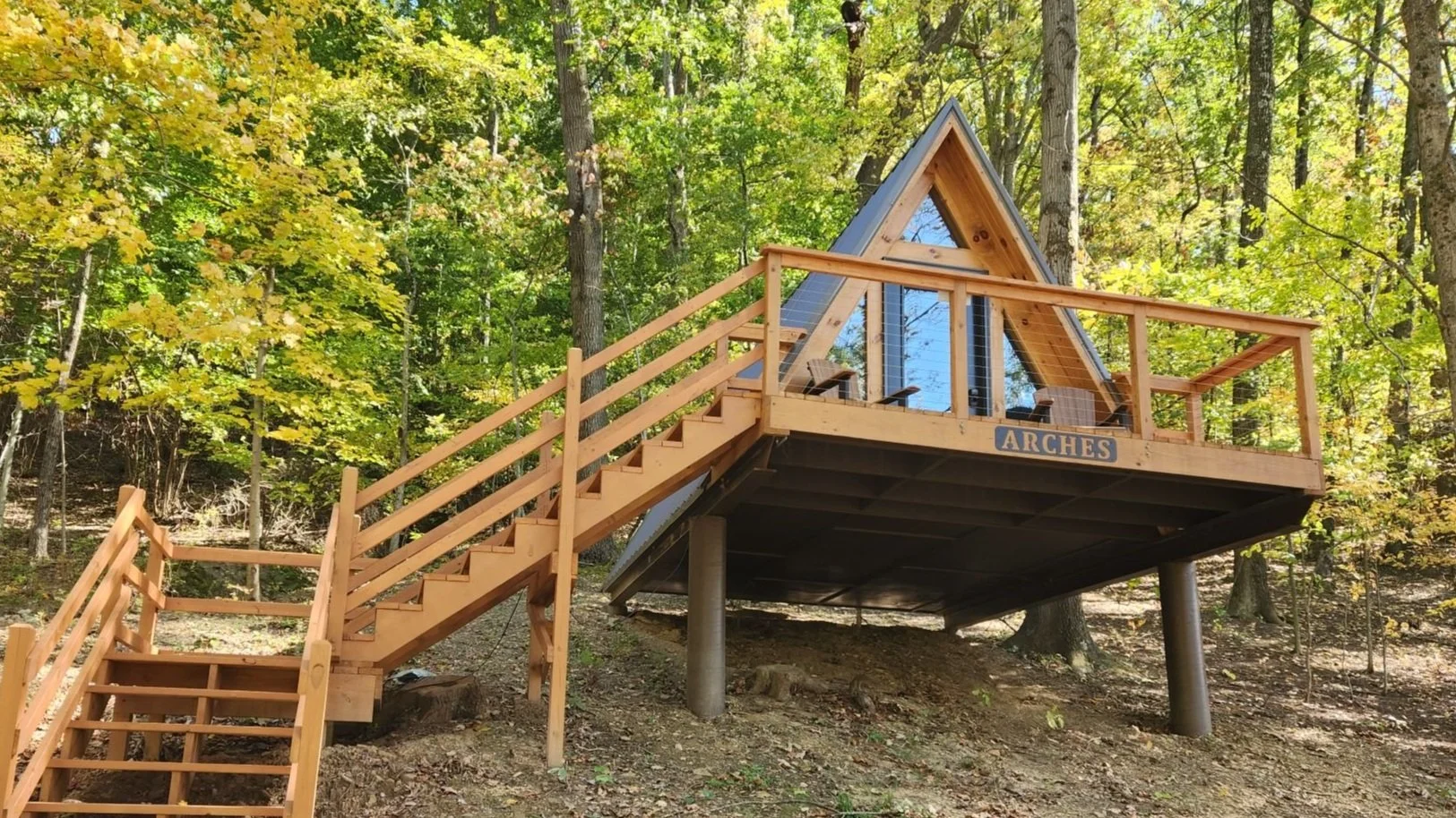 Are Dogs Allowed At Tappan Lake Ohio