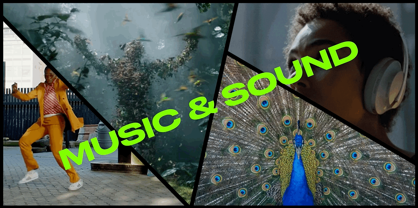 Mar-18-2022 17-59-50.gif