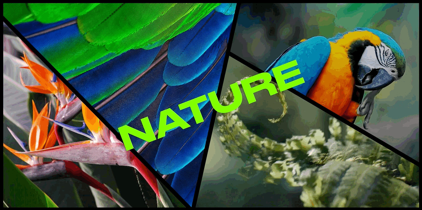 Mar-18-2022 17-56-32.gif