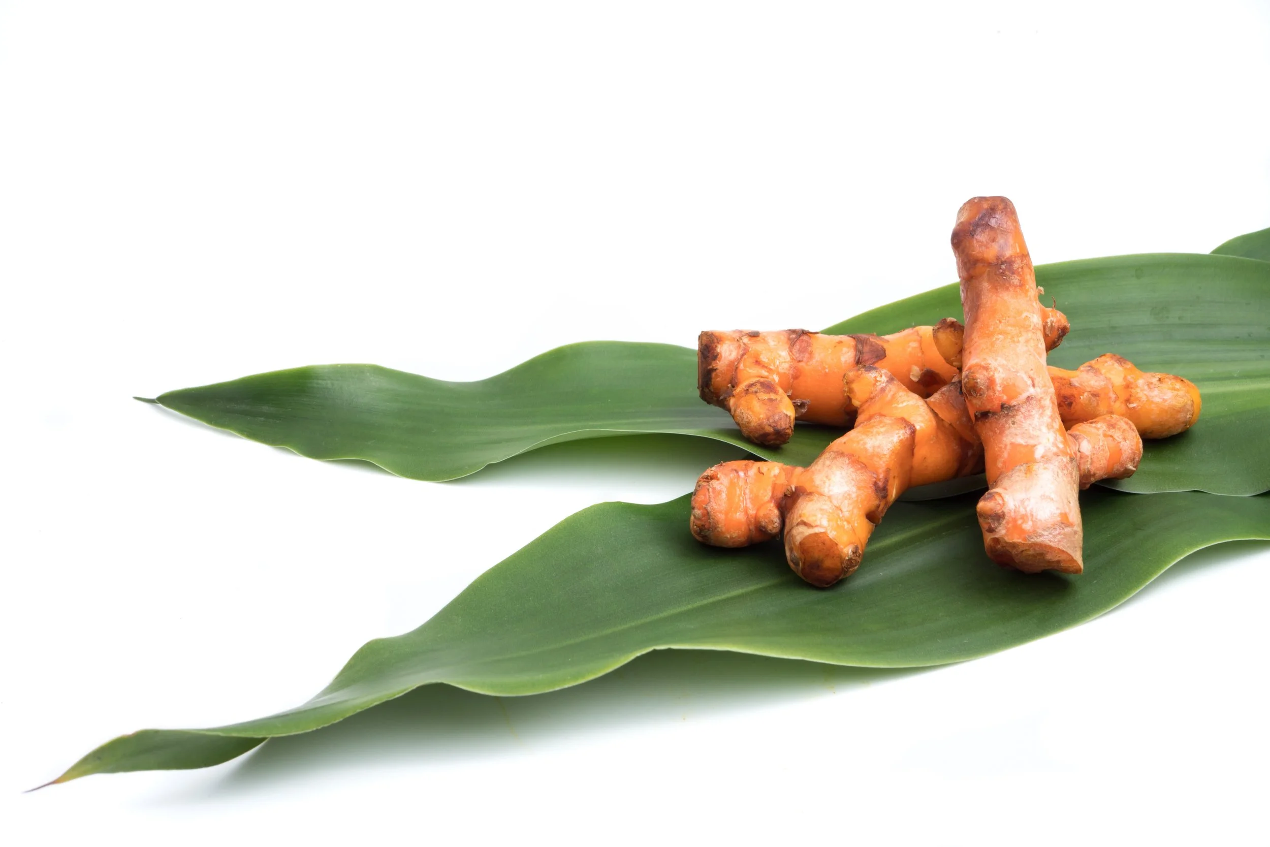 turmeric-roots-on-green-leaf-over-white-background-2021-09-04-01-24-37-utc.jpg