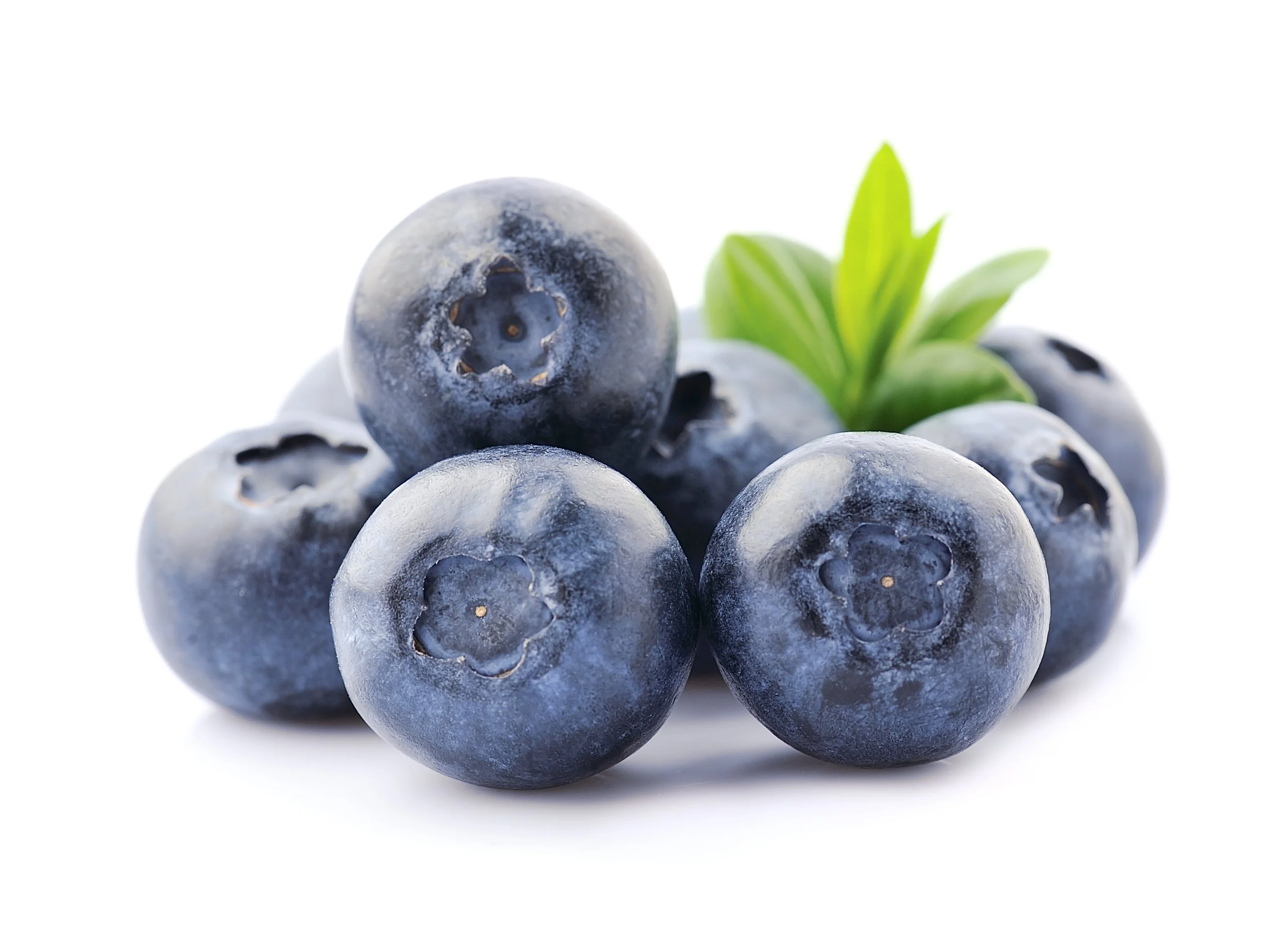 blueberries-2021-09-02-23-14-29-utc.jpg