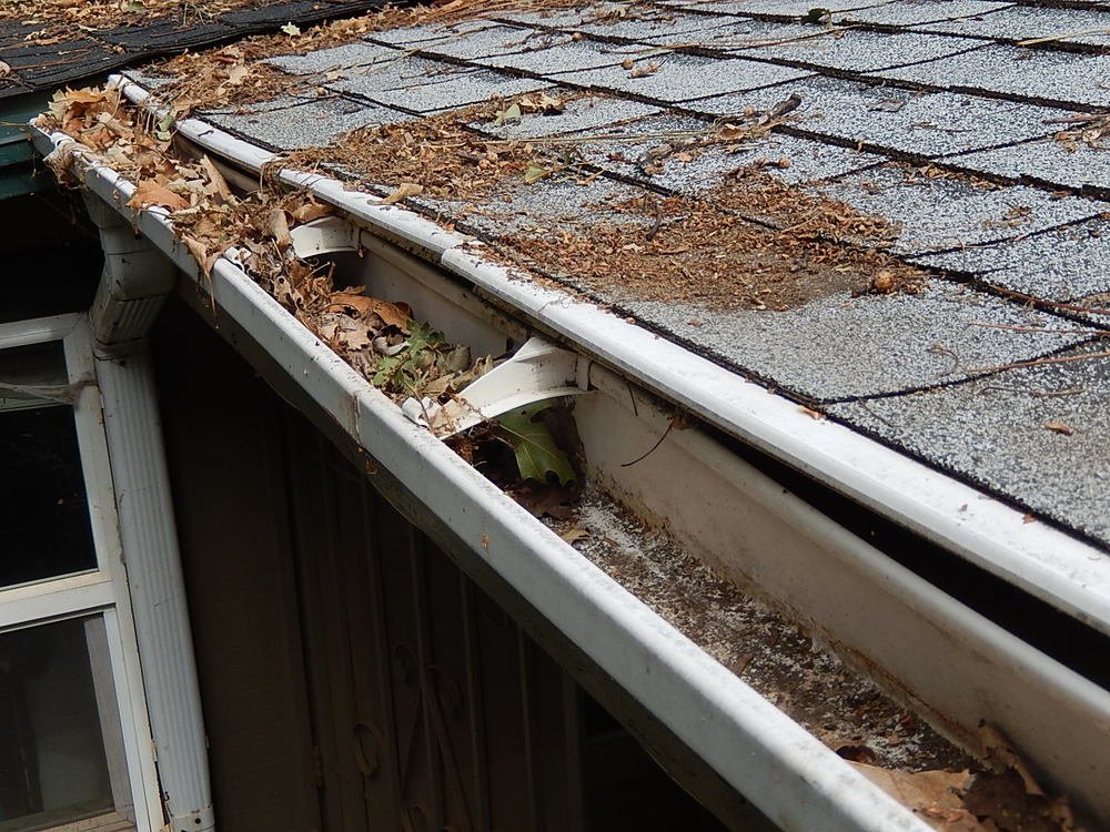 Clogged-Gutters.jpeg