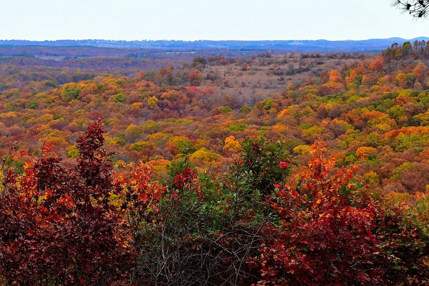 The changing and falling of leaves this time of year is beautiful - but, leaves clogging gutters is not. Make gutter cleaning a thing of the past with gutter guards! We offer a variety of styles to meet your needs. Find out more, and get a free gutte