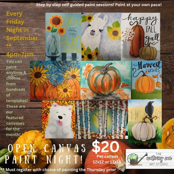 Friday Night Paint Night 