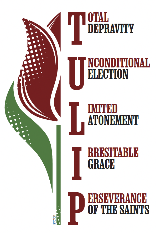 TULIP acronym with picture of a tulip