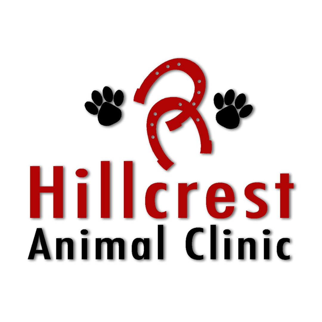 2022 Sunflower Slide — Kansas Reining Horse Association