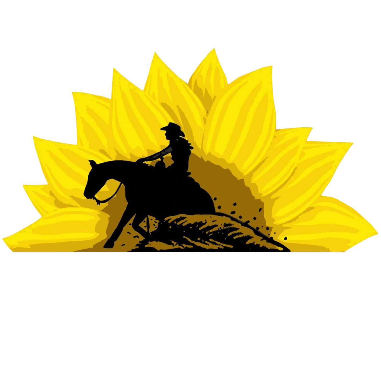 Kansas Reining Horse Association
