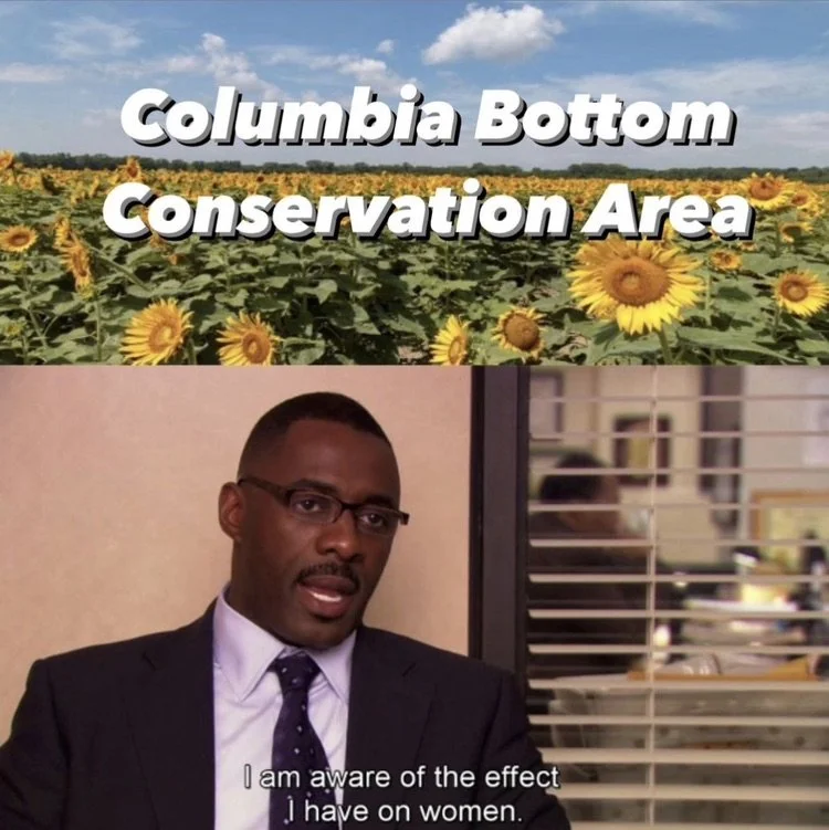 Columbia Bottom Girls.jpeg