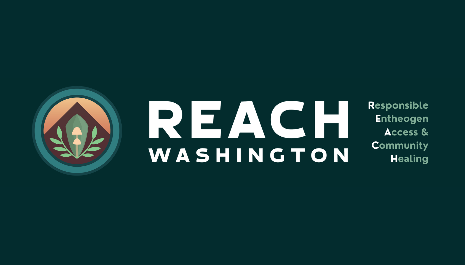 Pop Up Action Hour 💥